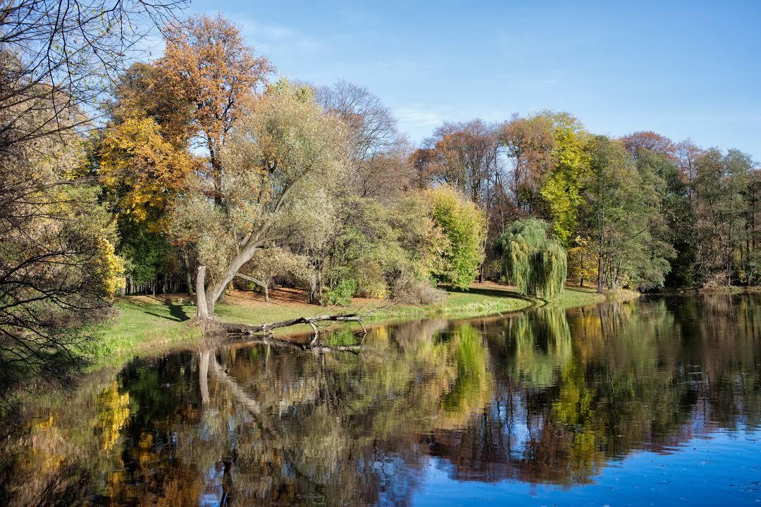 Piesze wędrówki w Parku Skaryszewskim
